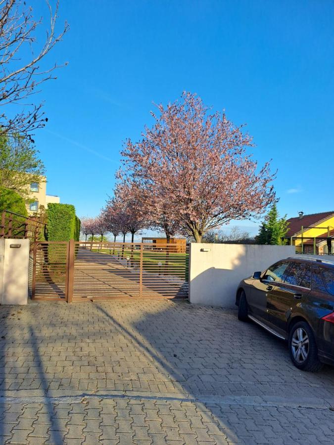 Villa Sunny Side Apartment Skopje Dolno Solnje Экстерьер фото